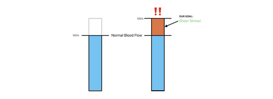 The Science of Shear Stress: How VascuVive Unlocks Growth, Endurance, and Performance