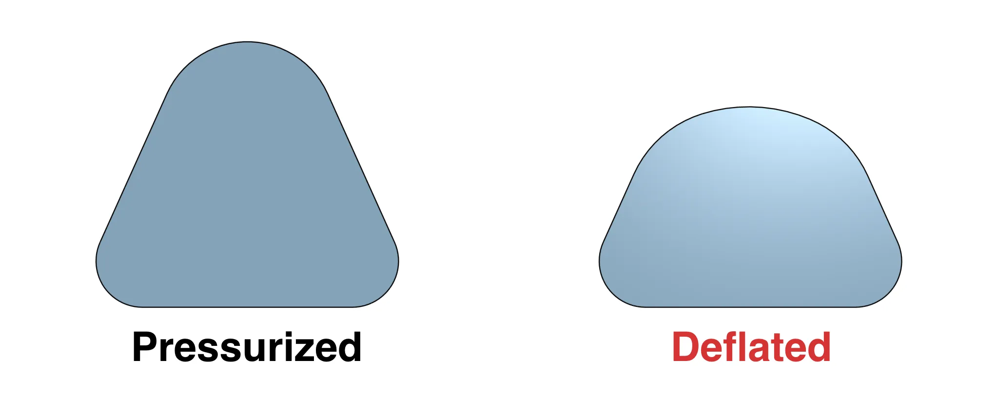 Corpus spongiosum illustration